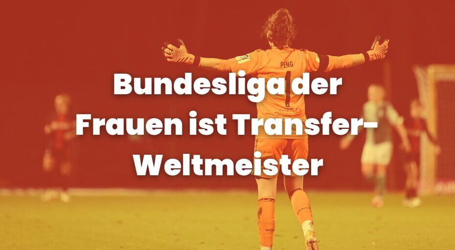 Sportschau transfers(1)