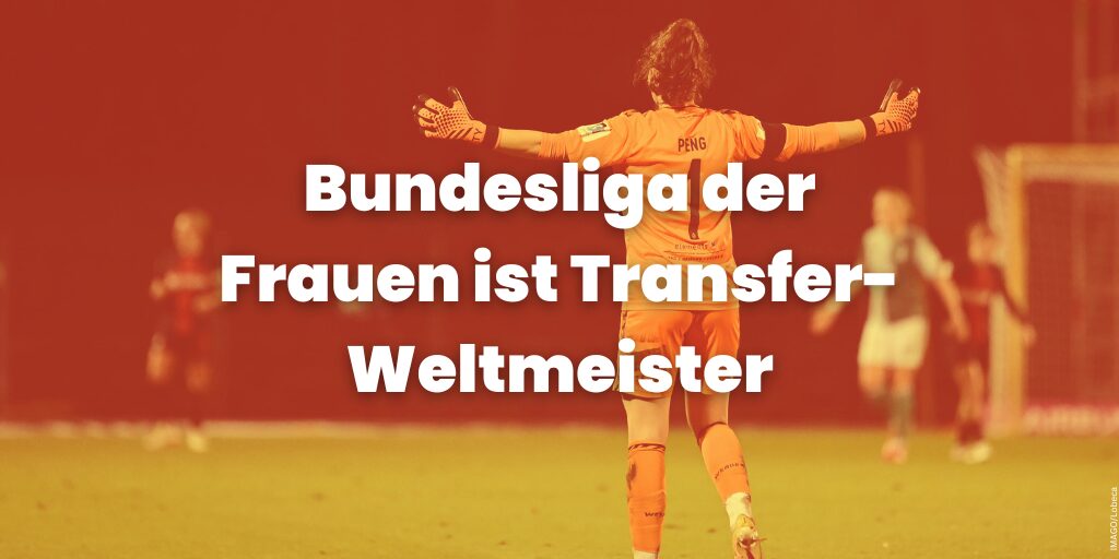 Sportschau transfers(1)